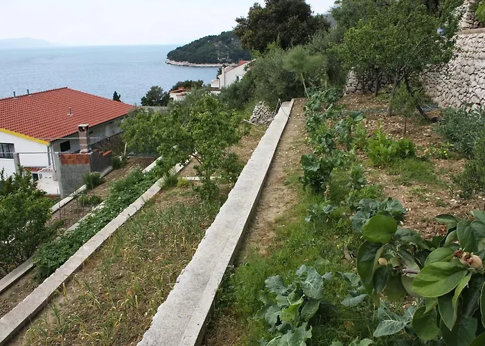 Gornja Vala 4890a