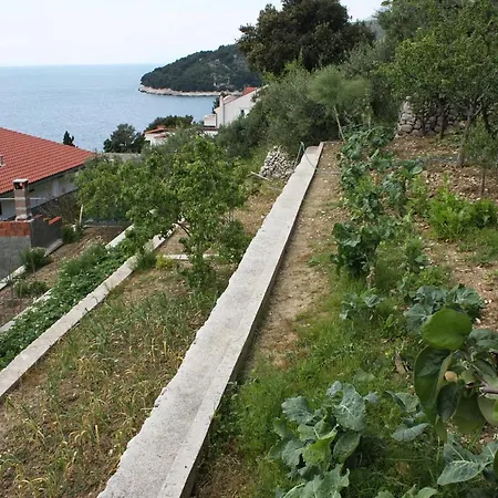 Drvenik Gornja Vala 4890a